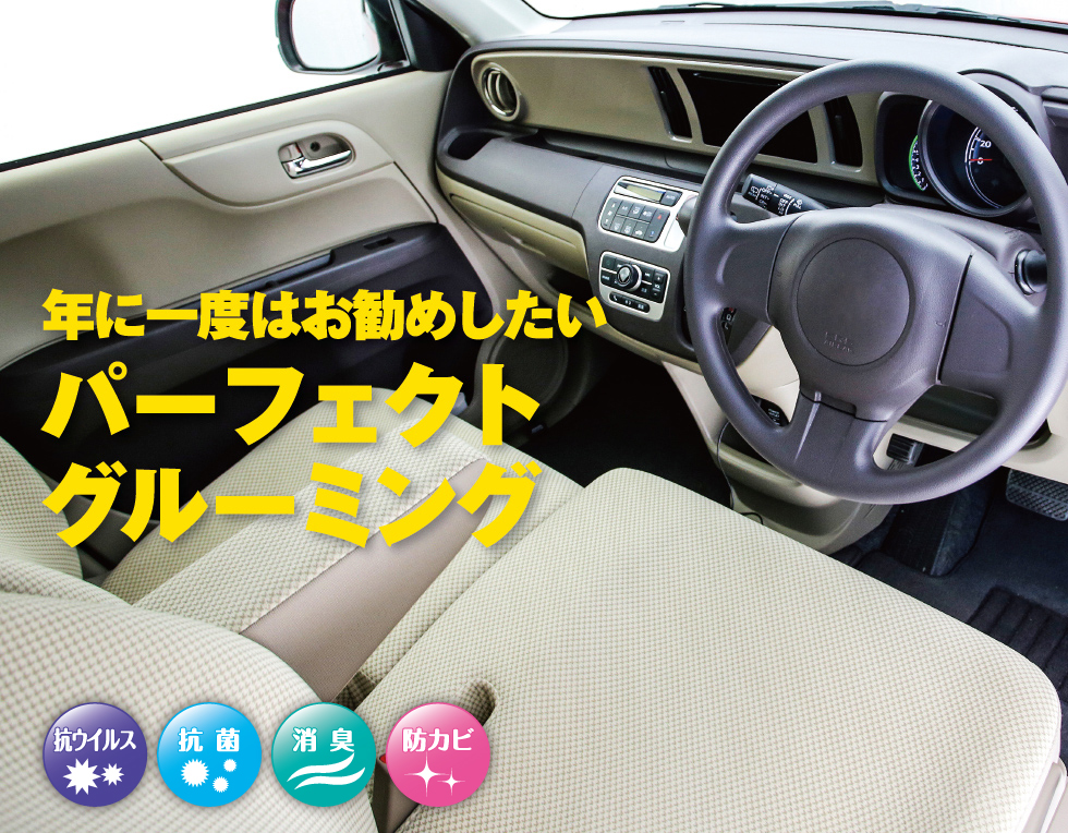 年に一度はお勧めしたいパーフェクトグルーミング