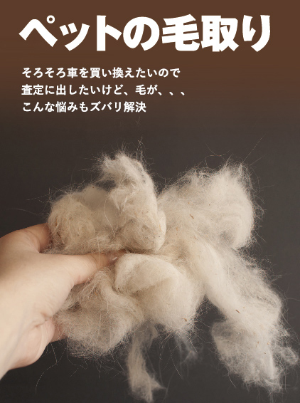 ペットの毛取り