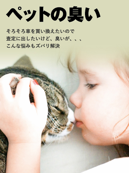 ペットの臭い